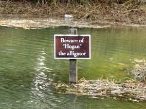 Fallen Oak 1st Water Sign